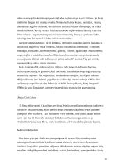 Dietų istorija, teorinė bei praktinė reikšmė 11 puslapis