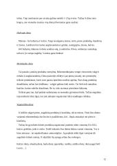 Dietų istorija, teorinė bei praktinė reikšmė 12 puslapis