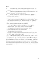 Dietų istorija, teorinė bei praktinė reikšmė 13 puslapis