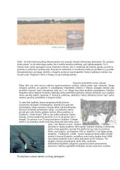 Dirvožemio užterštumas ir valymas 2 puslapis