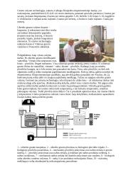 Dirvožemio užterštumas ir valymas 3 puslapis