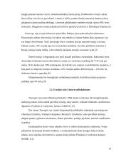 Dirvožemio tarša ir erozija 10 puslapis