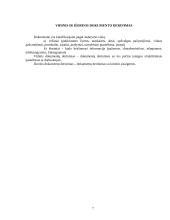 Dokumentų derinimas bei tvirtinimas 5 puslapis
