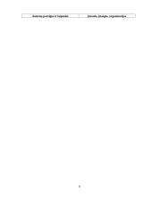 Dokumentų tekstų ypatybės 11 puslapis