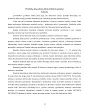 Dokumentų tekstų ypatybės 13 puslapis