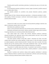 Dokumentų tekstų ypatybės 14 puslapis