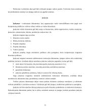 Dokumentų tekstų ypatybės 15 puslapis