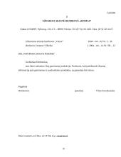 Dokumentų tekstų ypatybės 19 puslapis