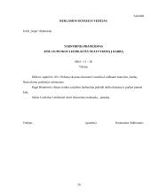 Dokumentų tekstų ypatybės 20 puslapis