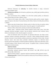 Dokumentų tekstų ypatybės 4 puslapis