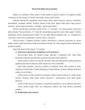 Dokumentų tekstų ypatybės 6 puslapis