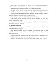 Dokumentų tekstų ypatybės 8 puslapis