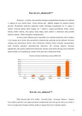 Donorystė ir donorai 2 puslapis