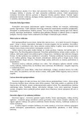 Dorinis auklėjimas 11 puslapis