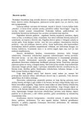 Dorovės samprata 4 puslapis