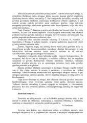Dorovės samprata 6 puslapis