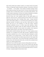 Dovanos ir suvenyrai. Pasilinksminimai ir verslas 2 puslapis