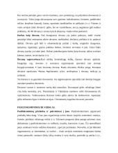 Dovanos ir suvenyrai. Pasilinksminimai ir verslas 3 puslapis