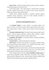 Draudimo finansai 8 puslapis