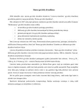 Draudimo įmonės Lietuvoje 13 puslapis