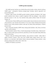 Draudimo įmonės Lietuvoje 14 puslapis