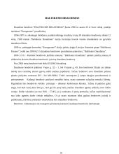 Draudimo įmonės Lietuvoje 16 puslapis