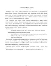 Draudimo įmonės Lietuvoje 17 puslapis