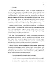 Draudimo paslaugų marketingas 11 puslapis