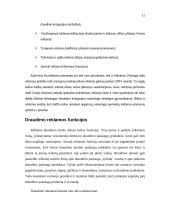 Draudimo paslaugų marketingas 12 puslapis