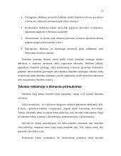 Draudimo paslaugų marketingas 13 puslapis