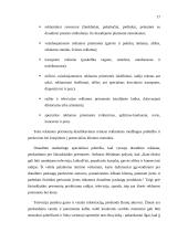 Draudimo paslaugų marketingas 17 puslapis