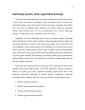 Draudimo paslaugų marketingas 3 puslapis