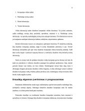 Draudimo paslaugų marketingas 8 puslapis