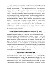 Draudimo raida pasaulyje 4 puslapis