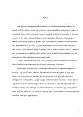 Draudimo rinka: DUAB "INGO BALTIC" skandalas 2 puslapis