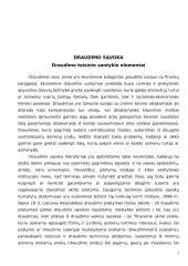 Draudimo samprata ir rūšys 2 puslapis