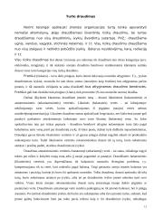 Draudimo samprata ir rūšys 11 puslapis