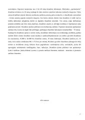 Draudimo samprata ir rūšys 16 puslapis