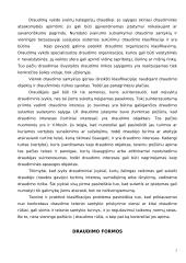 Draudimo samprata ir rūšys 4 puslapis