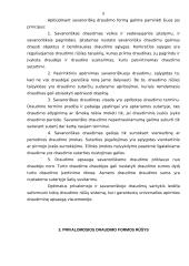 Draudimo sistema Lietuvoje 7 puslapis