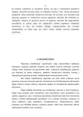 Draudimo sistema Lietuvoje 10 puslapis