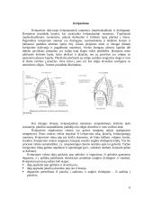 Dujų apykaita žinduoliuose 6 puslapis