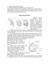 Dujų apykaita žinduoliuose 7 puslapis