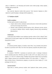 Dujų nuotėkį fiksuojančios matavimo priemonės 11 puslapis