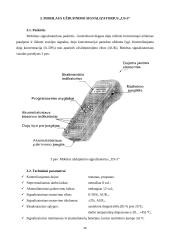 Dujų nuotėkį fiksuojančios matavimo priemonės 15 puslapis