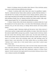 Dujų nuotėkį fiksuojančios matavimo priemonės 8 puslapis