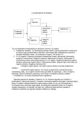 Dvejetainis komparatorius 2 puslapis