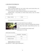 Dviejų dienų turas po Druskininkų ir Merkinės kraštą 14 puslapis