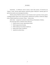 Dviejų dienų turas po Druskininkų ir Merkinės kraštą 3 puslapis