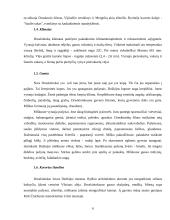 Dviejų dienų turas po Druskininkų ir Merkinės kraštą 6 puslapis